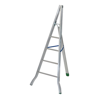 Échelle AG200 fruitière 1