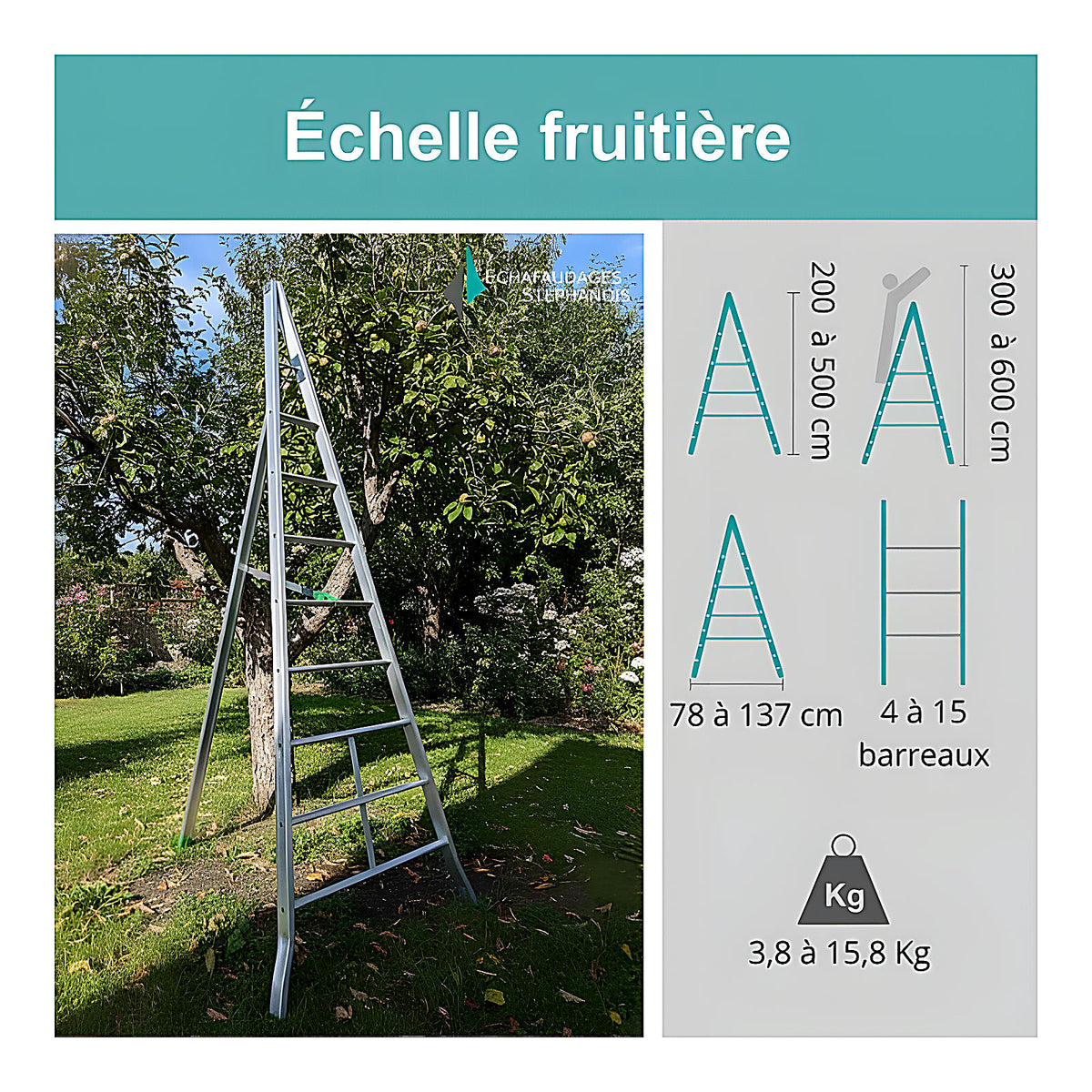 Échelle fruitière aluminium réglable 1