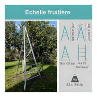Échelle fruitière aluminium réglable 1