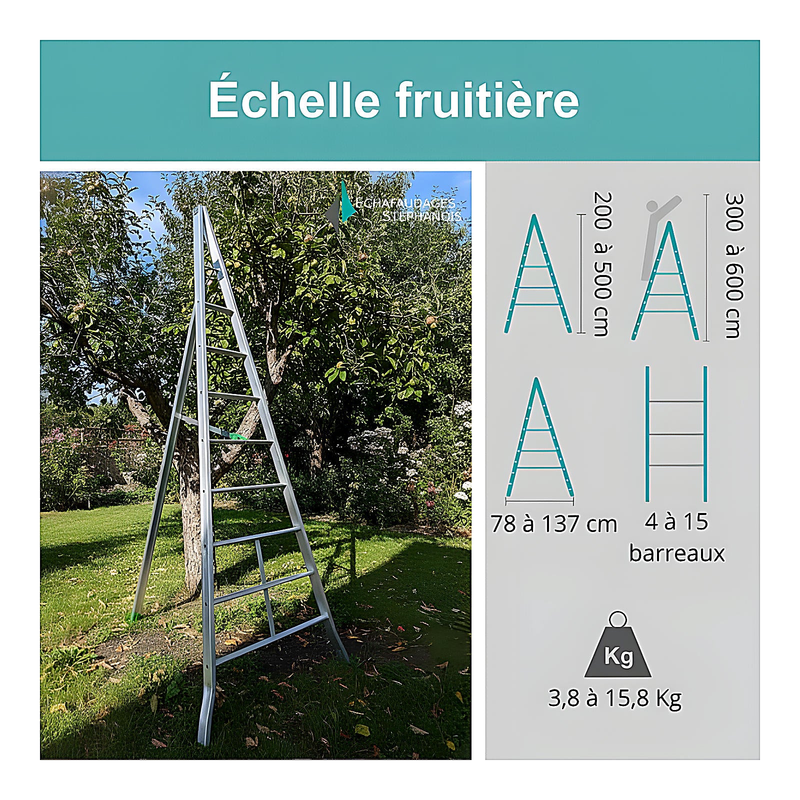 Échelle fruitière aluminium réglable 1