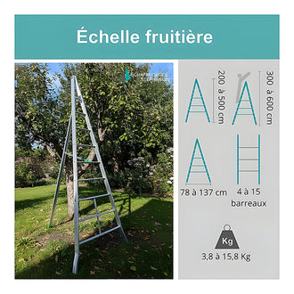 Échelle fruitière aluminium réglable 1