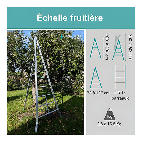 Échelle fruitière aluminium réglable