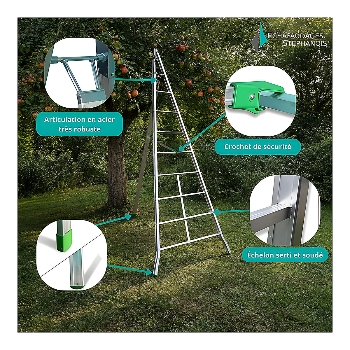 Échelle fruitière aluminium réglable 2
