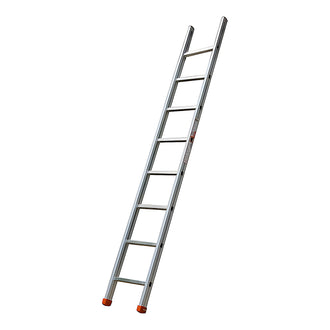 Échelle de toit pour toiture 2