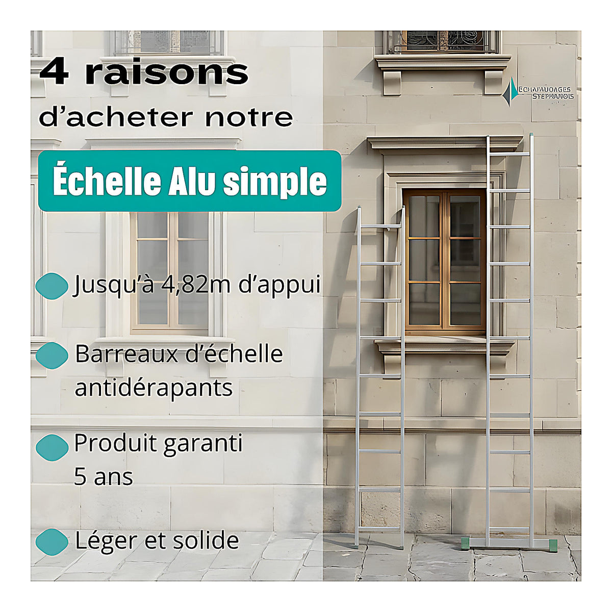 Échelle aluminium simple 5